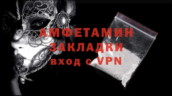 твердый Бородино