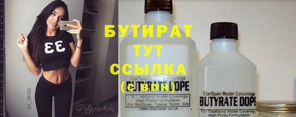 твердый Бородино