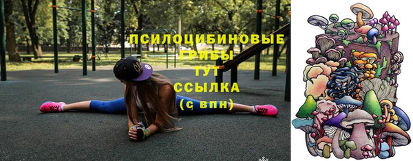 спиды Бронницы