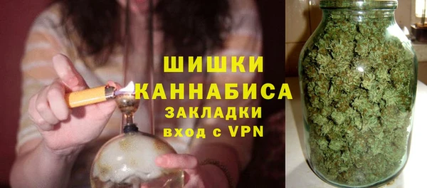 твердый Бородино